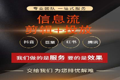 SEM代理助力品牌：案例解析与优化策略